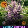 Cannabis seeds Gorilla Zkittlez from Barney's Farm